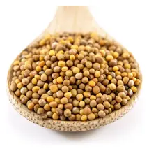 Organic Yellow Mustard Seeds 100g (Sussex Wholefoods)